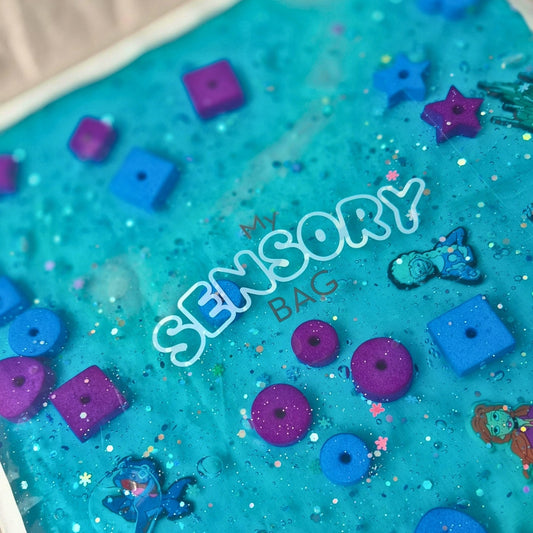 My Sensory Bag - FROZEN in ICE